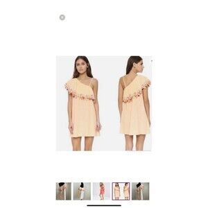 Piper By Townsen One Shoulder  Ruffle Tassel Boho Mini Dress Peach Color Small